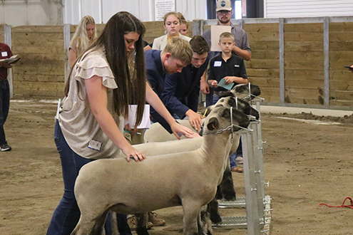 Iowa FFA Association